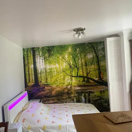 Daire Studio Boiscorde, Lit Double 2 Personnes, Wifi *